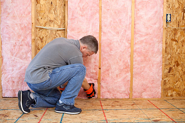 Best Insulation for New Construction  in Stro Valley, CA